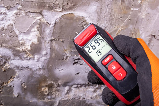 Best Mold Remediation for Schools in Harrisburg, OR